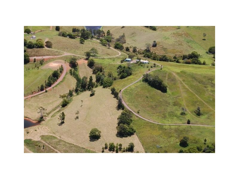 Eumundi QLD 4562