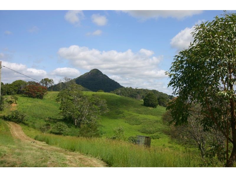 Eumundi QLD 4562