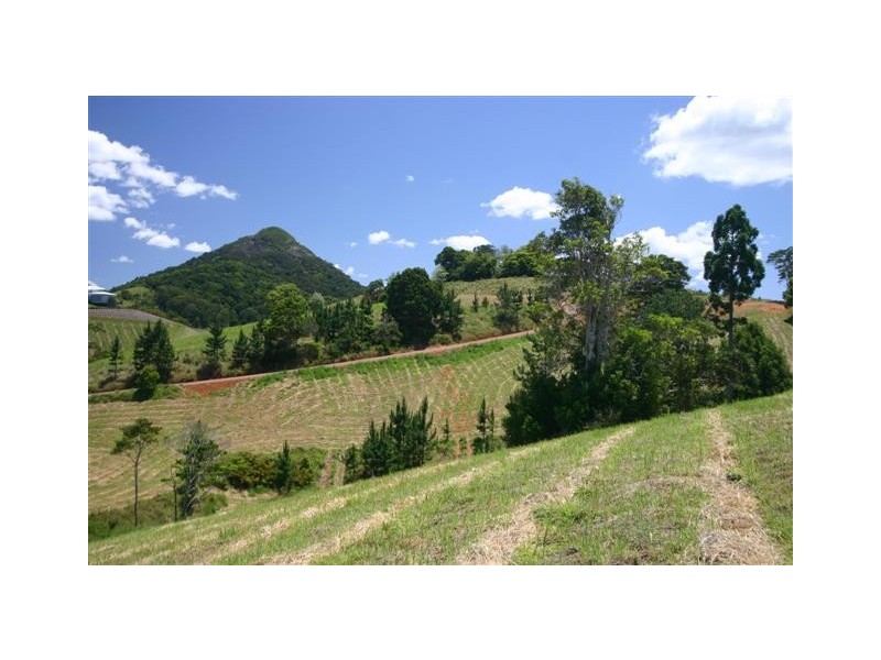 Lot 2, 76 Lonehand Lane, Eumundi QLD 4562