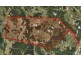 501 Black Mountain Road, Cooroy QLD 4563