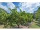 228 Lone Hand Road, Eumundi QLD 4562