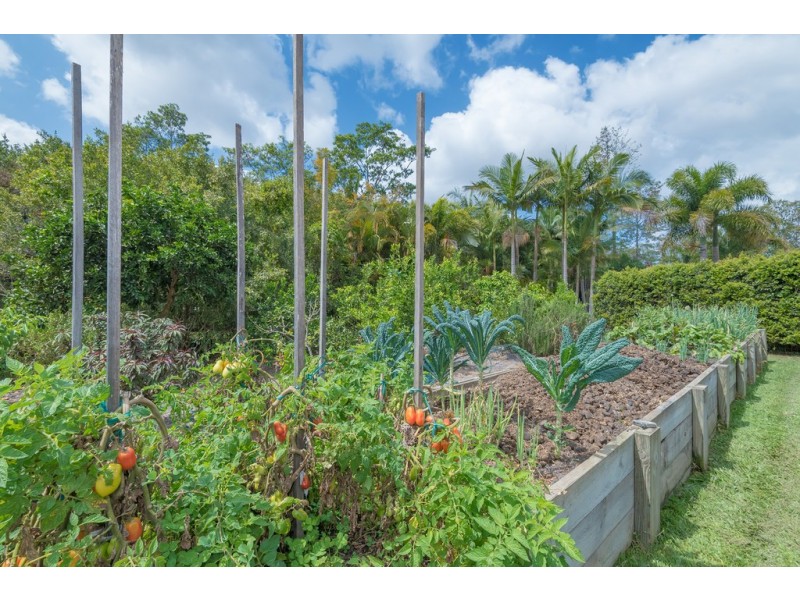 228 Lone Hand Road, Eumundi QLD 4562