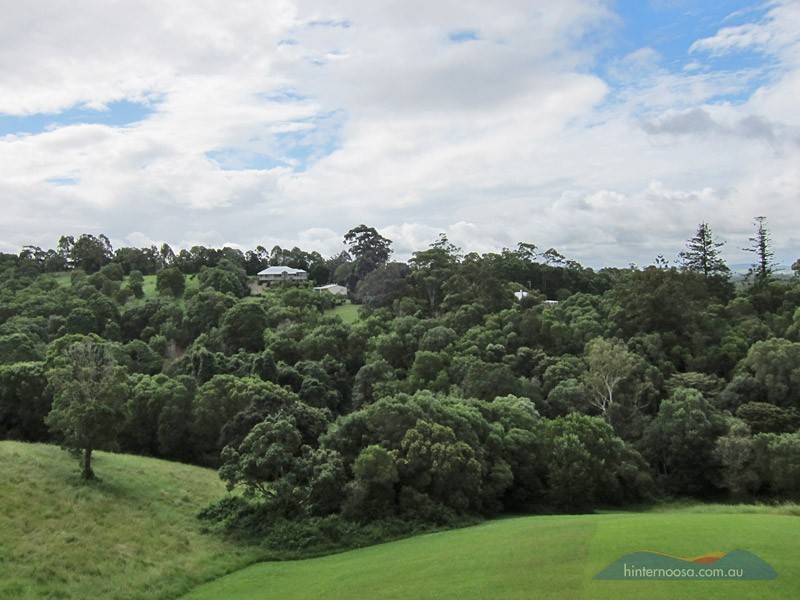 67 Cudgerie Drive, Cooroy QLD 4563