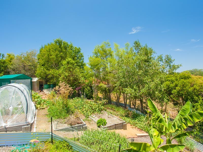 12 Watergum Place, Black Mountain QLD 4563