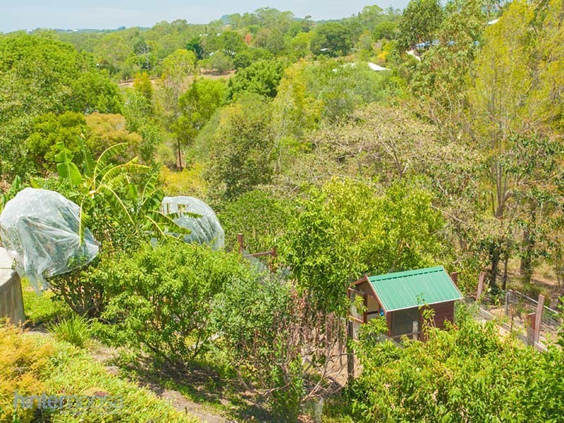 12 Watergum Place, Black Mountain QLD 4563