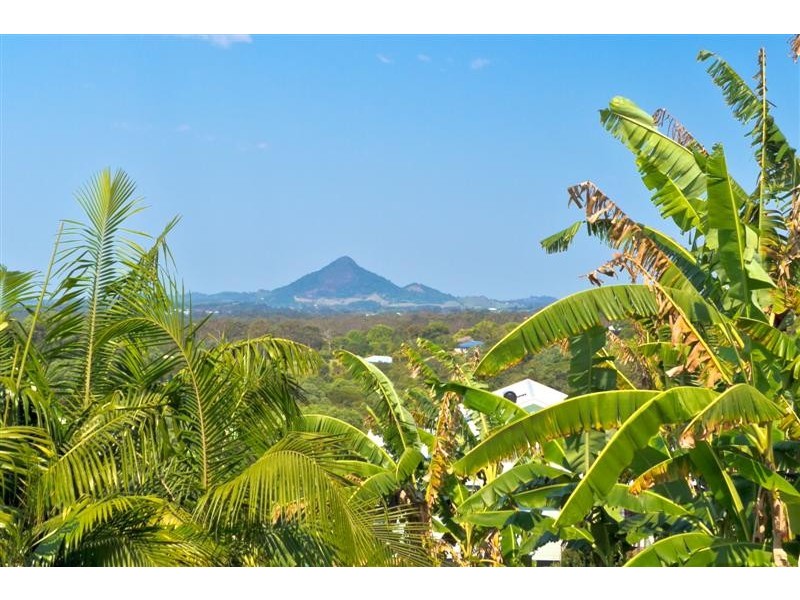 Black Mountain QLD 4563