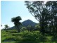 21 Lone Hand Road, Eumundi QLD 4562