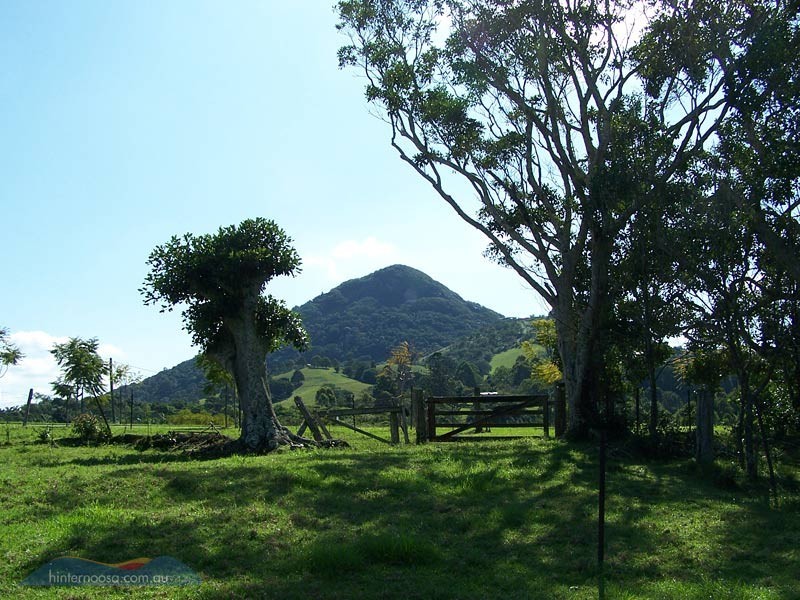 21 Lone Hand Road, Eumundi QLD 4562