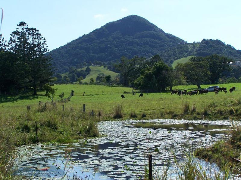 21 Lone Hand Road, Eumundi QLD 4562
