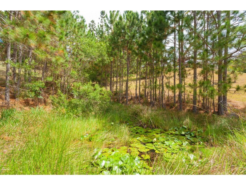 216 – 228 Sunrise Road, Doonan QLD 4562