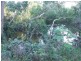 Cooroy QLD 4563