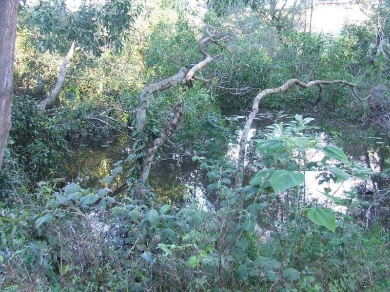 Cooroy QLD 4563