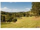329a Cooroy Belli Creek Road, Cooroy QLD 4563