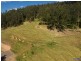 329a Cooroy Belli Creek Road, Cooroy QLD 4563
