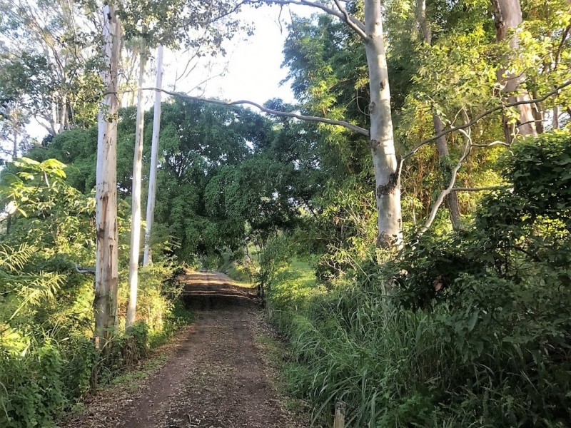 Eerwah Vale QLD 4562