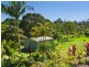 14 Finley Road, Eumundi QLD 4562