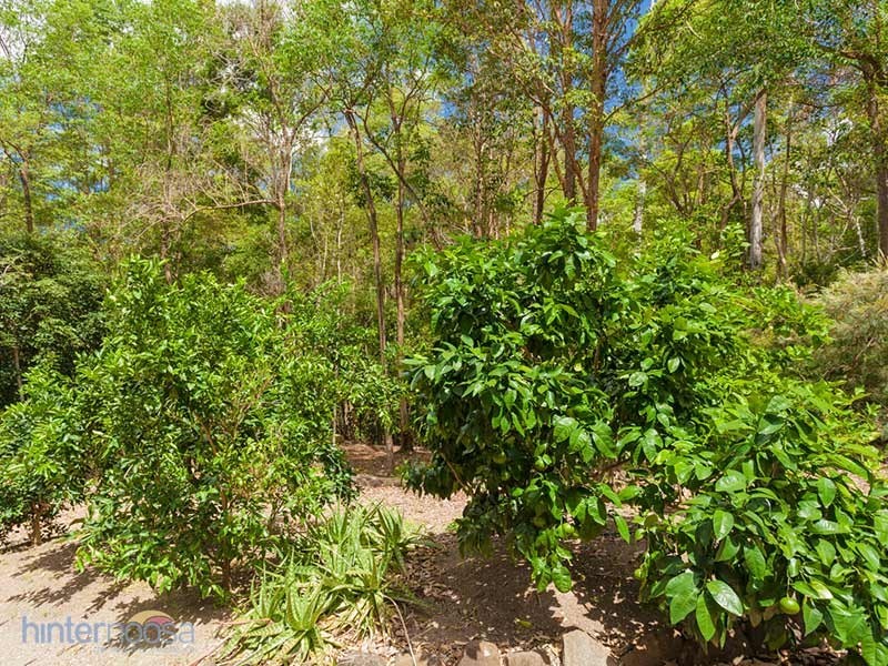 27 Regency Road, Doonan QLD 4562