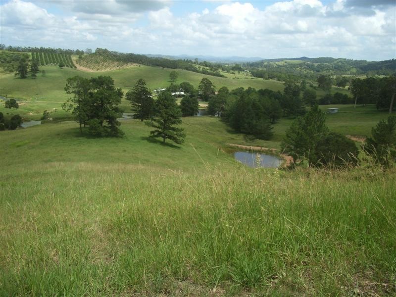 37 Lot 6, Happy Jack Creek Road, Cooroy QLD 4563