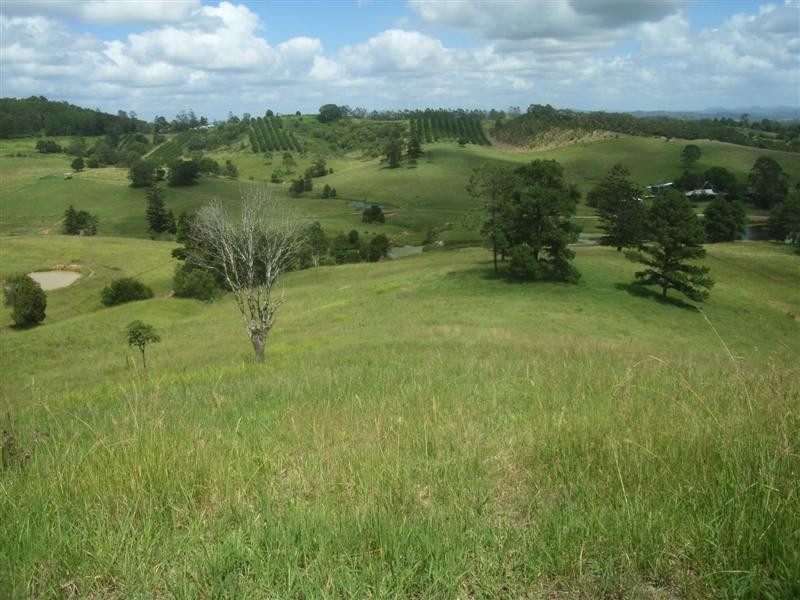 37 Lot 6, Happy Jack Creek Road, Cooroy QLD 4563