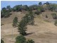37 Lot 6, Happy Jack Creek Road, Cooroy QLD 4563