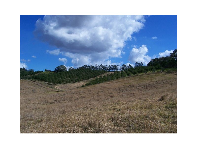 37 Lot 6, Happy Jack Creek Road, Cooroy QLD 4563