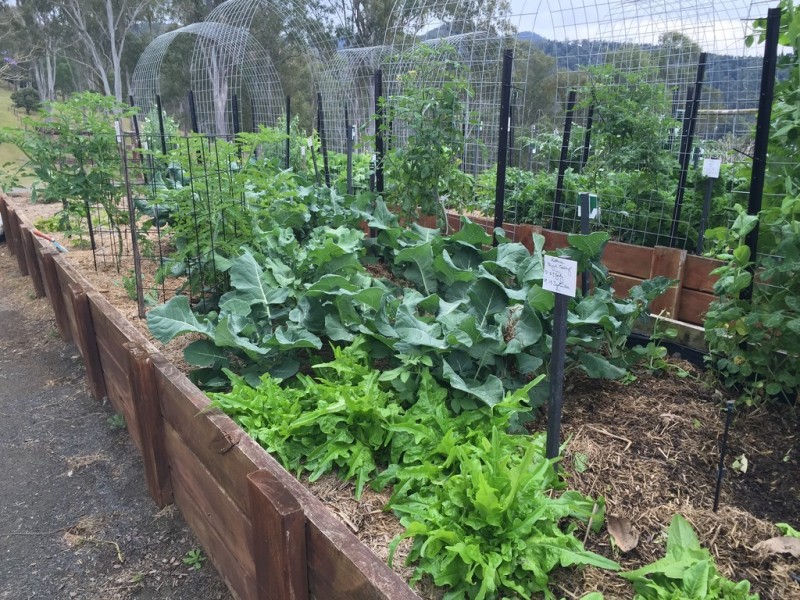 3599 Maleny Kenilworth Road, Kenilworth QLD 4574