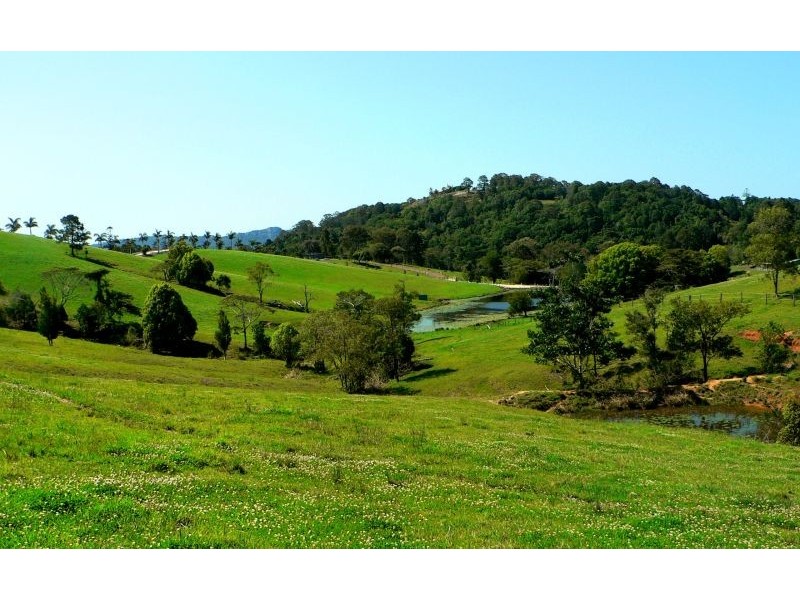 Cooroy Mountain QLD 4563