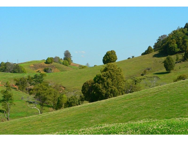 Cooroy Mountain QLD 4563