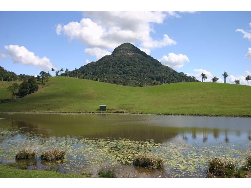 Cooroy Mountain QLD 4563
