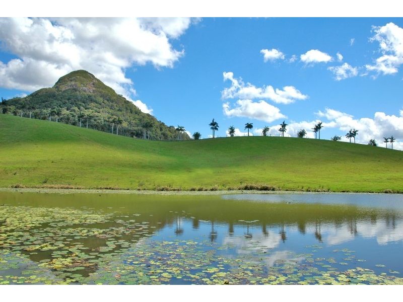 Cooroy Mountain QLD 4563