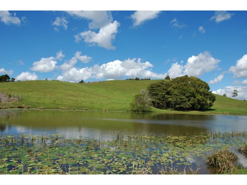 Cooroy Mountain QLD 4563