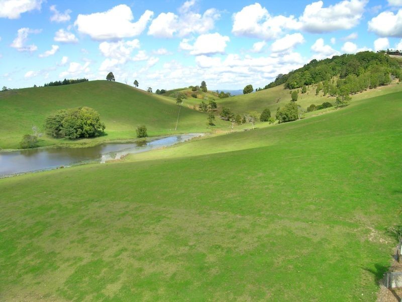 Cooroy Mountain QLD 4563