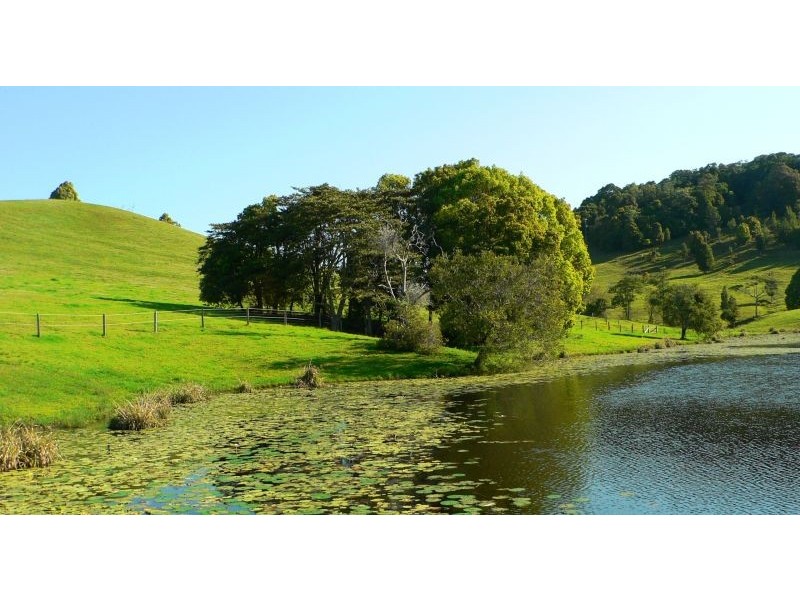 Cooroy Mountain QLD 4563