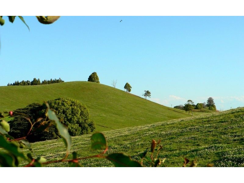 Cooroy Mountain QLD 4563