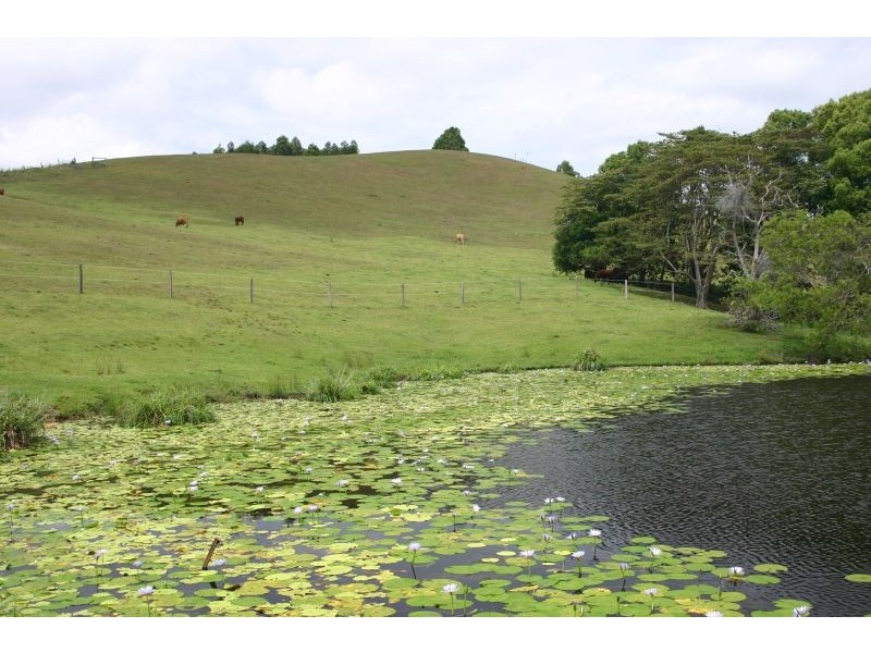 Cooroy Mountain QLD 4563