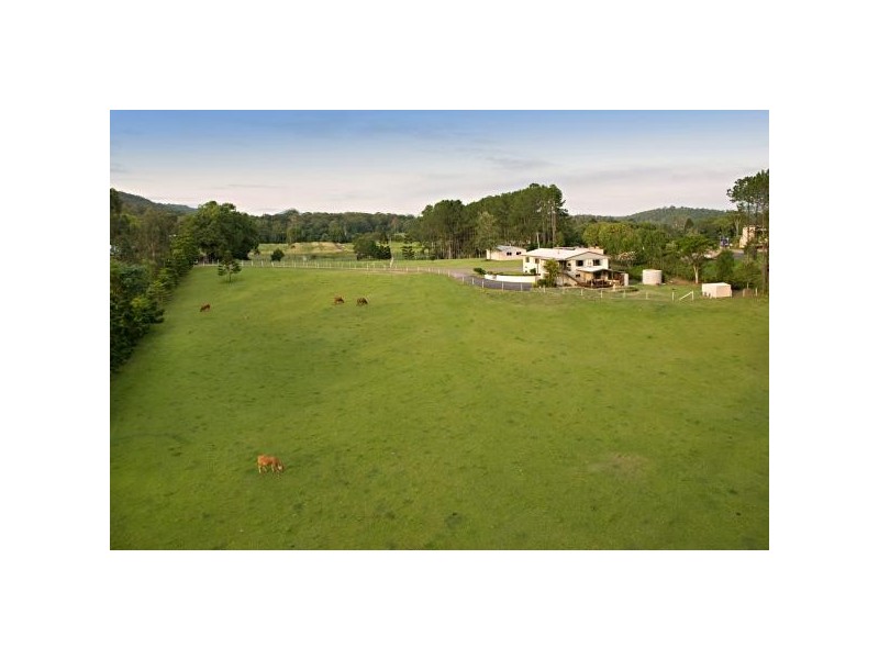 Eumundi QLD 4562