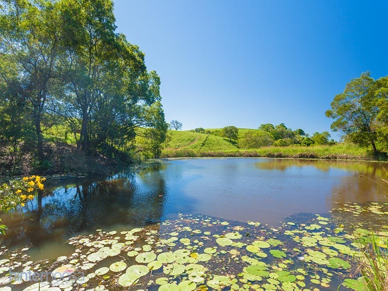 742 Cooroy Belli Creek Road, Black Mountain QLD 4563