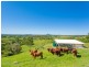 742 Cooroy Belli Creek Road, Black Mountain QLD 4563