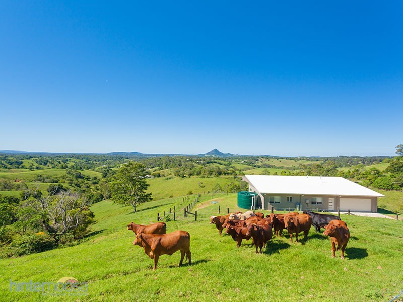 742 Cooroy Belli Creek Road, Black Mountain QLD 4563