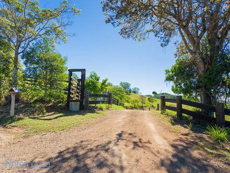 742 Cooroy Belli Creek Road, Black Mountain QLD 4563