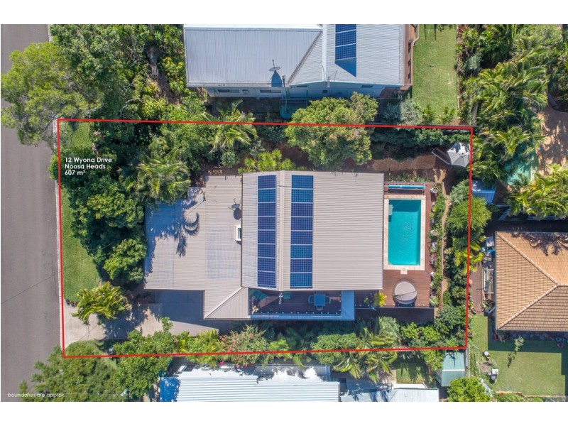 12 Wyona Drive, Noosa Heads QLD 4567