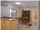 Cooroy QLD 4563