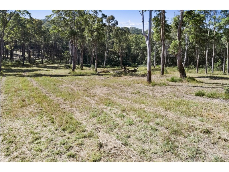 223 North Arm Road, North Arm QLD 4561