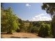 334  Black Mountain Road, Cooroy QLD 4563