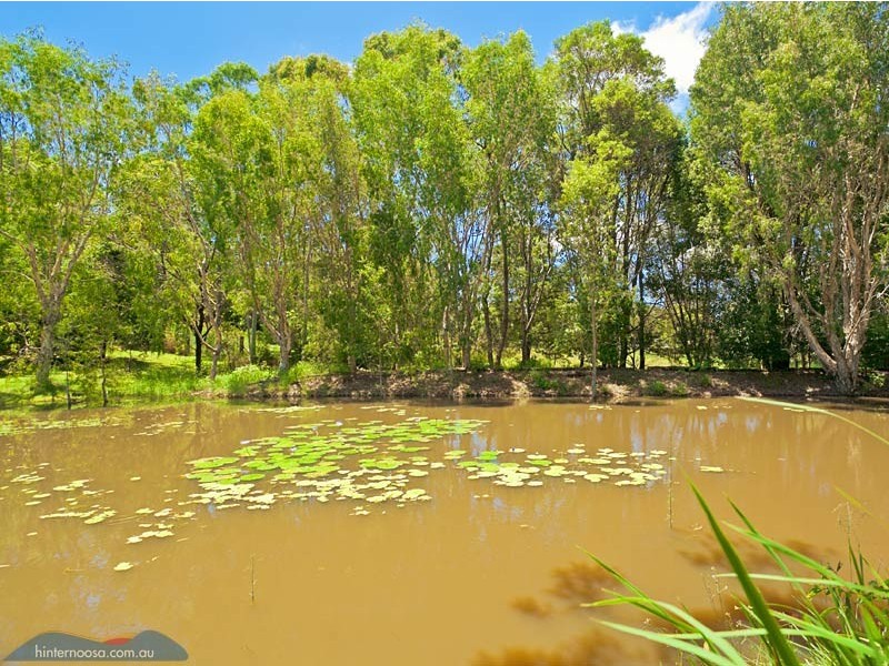 16 Tunba Court, Cooroy Mountain QLD 4563