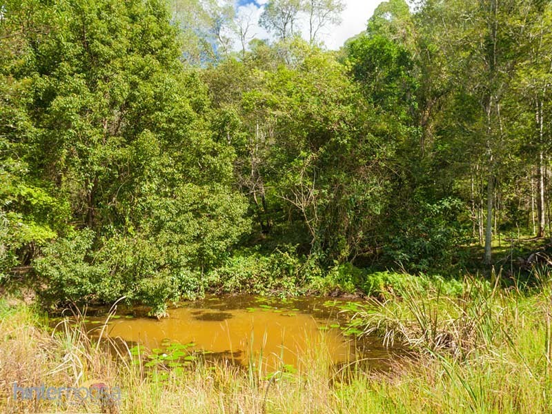 247 Black Mountain Range Rd, Cooroy QLD 4563