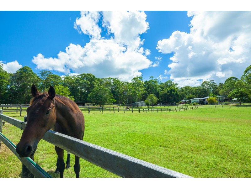 136 Gumboil Road, Tinbeerwah QLD 4563