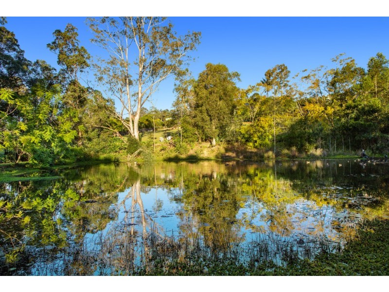 126 Blueberry Drive, Black Mountain QLD 4563