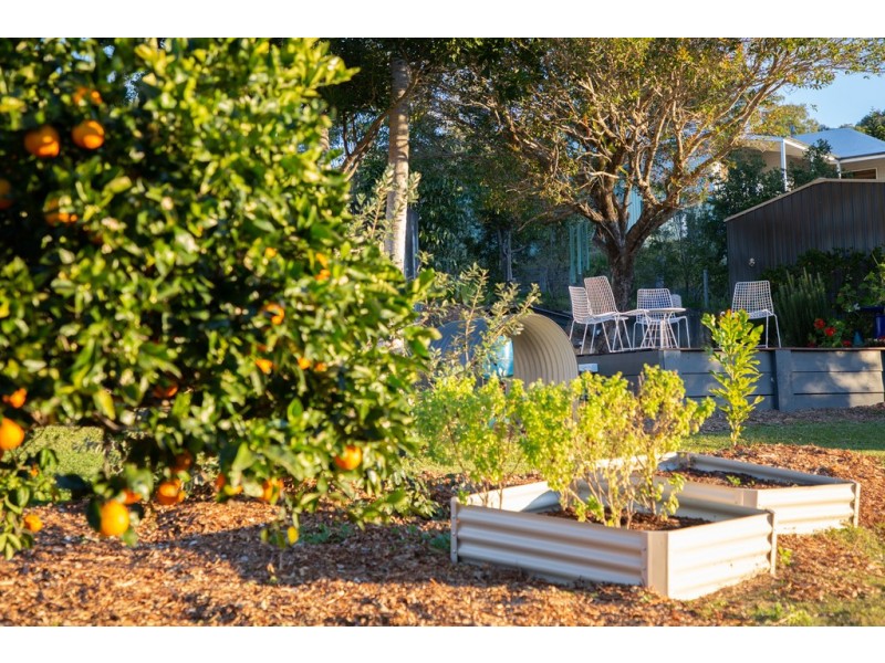 126 Blueberry Drive, Black Mountain QLD 4563