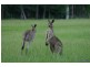 L1 327  Dath Henderson Road, Tinbeerwah QLD 4563